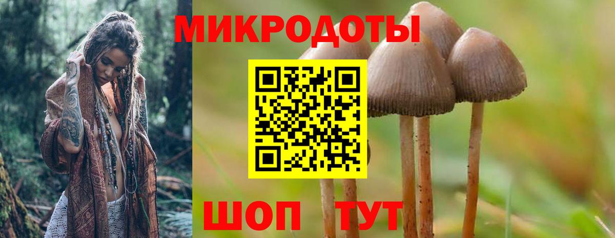 Галлюциногенные грибы ЛСД Чистополь
